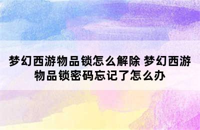 梦幻西游物品锁怎么解除 梦幻西游物品锁密码忘记了怎么办